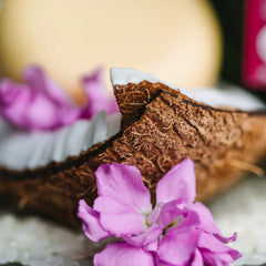 Coconut Body Butter Bar