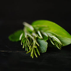 Rosemary Biotin Shampoo Bar – Thinning Hair | VIORI