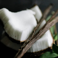 Vanilla Coconut Natural Dry Shampoo | VIORI
