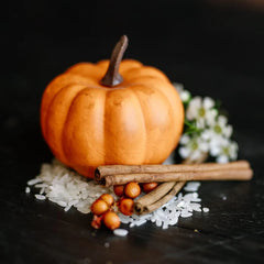 LIMITED Pumpkin Spice Conditioner Bar