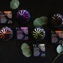 Shampoo Bar Sampler + Bamboo Holder | VIORI